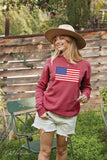 USA FLAG Mineral Graphic Sweatshirt : WHITE DOVE / M