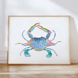 Blue Crab No. 2: Unframed / 5 x 7
