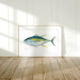 Yellowfin Tuna Watercolor Print, Fish Painting: 5x7 (8x10 mat)
