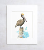 Pelican Watercolor Art Print, Nautical Bird Painting: 11x17 (no mat)