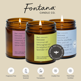 Peppermint Twist Essential Oil Beeswax Jar Candle: Non-Toxic