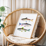3 Trout No. 2: Unframed / 5 x 7