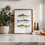 3 Trout No. 2: Unframed / 11 x 14