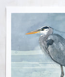 Great Blue Heron on Branch Watercolor Painting: 8x10 (11x14 mat)