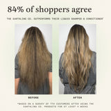 Shampoo & Conditioner Duo Set for Volumizing and Thickening: Wild Lavender