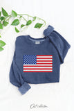 USA FLAG Mineral Graphic Sweatshirt : WHITE DOVE / S