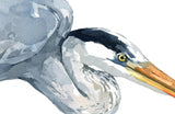 Great Blue Heron Watercolor Study Coastal Bird Wall Art: 5x7 (8x10 mat)