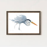 Great Blue Heron Watercolor Study Coastal Bird Wall Art: 5x7 (8x10 mat)