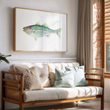 Striped Bass: Unframed / 5 x 7
