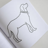 Coloring Book New England