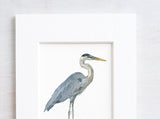 Great Blue Heron Miniature Watercolor Art Print: 5x7 (8x10 mat)