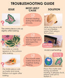 Shrink to Sparkles Craft Kit: Bloom Post