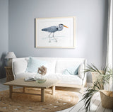 Great Blue Heron Watercolor Art Print, Bird Art: 5x7 (8x10 mat)
