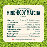 Jibby Matcha Super Latte - Collagen, Mushrooms, Superfoods: A Tad Sweet / 10 Servings