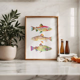 3 Trout No. 4: Unframed / 11 x 14