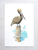Pelican Watercolor Art Print, Nautical Bird Painting: 8x10 (11x14 mat)