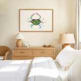 Blue Crab No. 1: Unframed / 5 x 7