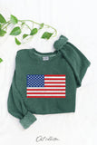USA FLAG Mineral Graphic Sweatshirt : WHITE DOVE / S