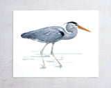 Great Blue Heron Watercolor Art Print, Bird Art: 5x7 (8x10 mat)
