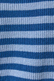 RAGLAN LONG SLEEVE CREW NECK STRIPED SWEATER CARDIGAN: BLUE-LT BLUE STRIPE / L