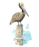 Pelican Watercolor Art Print, Nautical Bird Painting: 5x7 (8x10 mat)