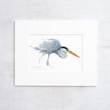 Great Blue Heron Watercolor Study Coastal Bird Wall Art: 5x7 (8x10 mat)