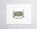 Blue Crab Watercolor Art Print, Coastal Decor, Crab Wall Art: 5x7 (8x10 mat)