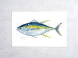 Yellowfin Tuna Watercolor Print, Fish Painting: 5x7 (8x10 mat)