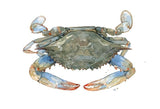 Blue Crab Watercolor Art Print, Coastal Decor, Crab Wall Art: 5x7 (8x10 mat)