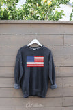 USA FLAG Mineral Graphic Sweatshirt : WHITE DOVE / L