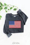 USA FLAG Mineral Graphic Sweatshirt : WHITE DOVE / S