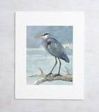 Great Blue Heron on Branch Watercolor Painting: 5x7 (8x10 mat)