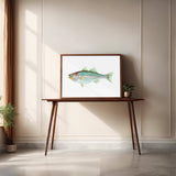 Striped Bass: Unframed / 11 x 14