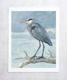 Great Blue Heron on Branch Watercolor Painting: 5x7 (8x10 mat)